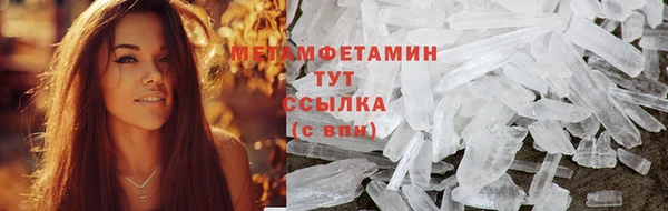 крисы Кулебаки