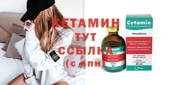 крисы Кулебаки