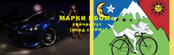 крисы Кулебаки