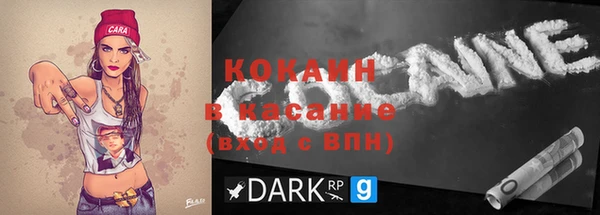 крисы Кулебаки