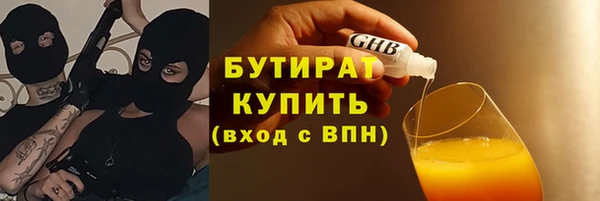 крисы Кулебаки