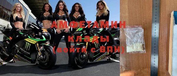 крисы Кулебаки