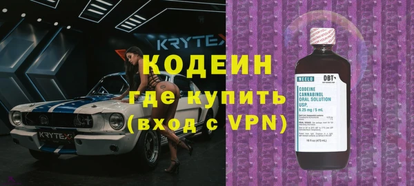 крисы Кулебаки