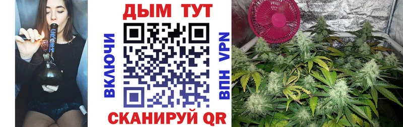 Купить  Советская Гавань  Шишки марихуана гибрид 